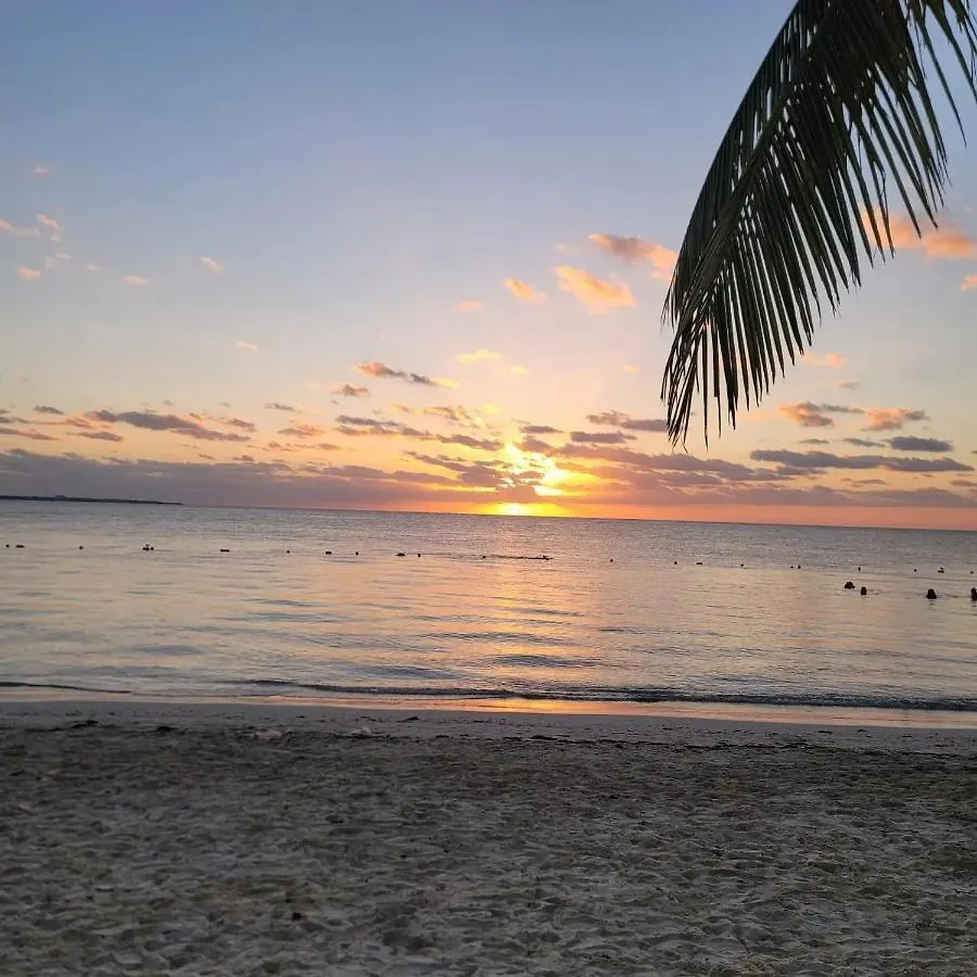 Cancun Ocean View Playa Del Nino ベッド・アンド・ブレックファスト