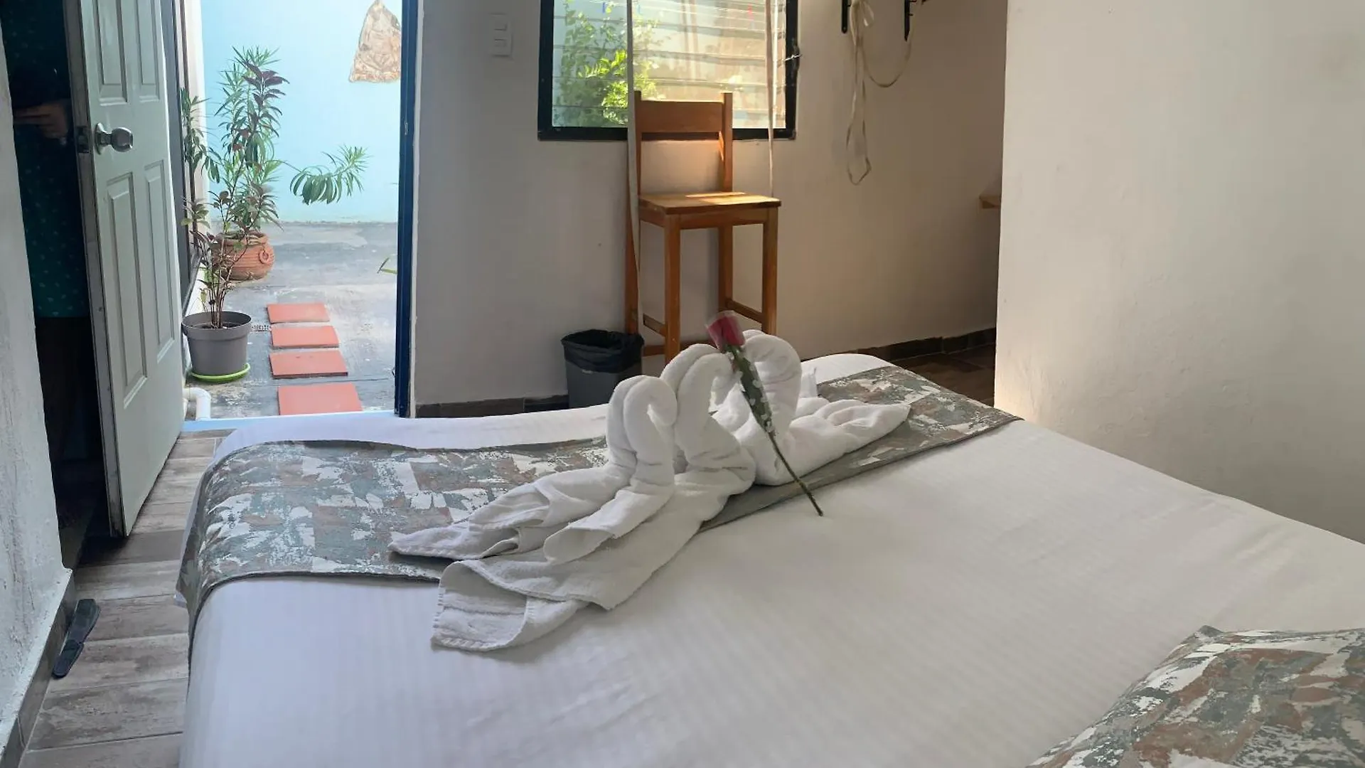 ベッド・アンド・ブレックファスト Cancun Ocean View Playa Del Nino メキシコ